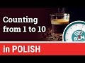 One Minute Polish: Lesson 8 Quiz