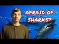 Should I Be Scared of Sharks? (Shark Biology and Conservation)
