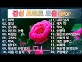 감성 트로트 모음 KPOP TROT PLAYLIST 꽃길 상사화 여인의 눈물 회룡포 바람길 Kpop