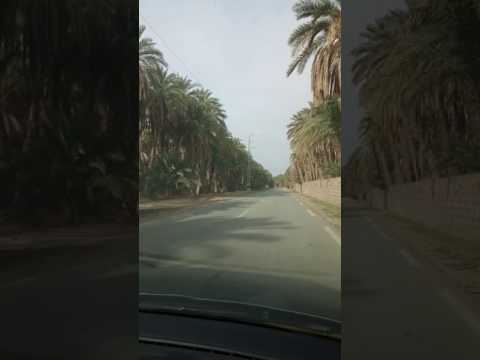 بسكرة طريق سيدي عقبة
