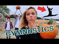Gymnastics At The Pumpkin Patch *Brothers vs Sister*