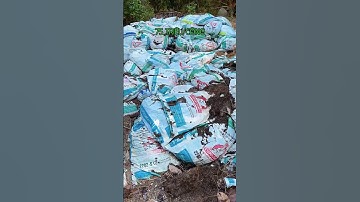 Bán đất vườn mít ruột đỏ #bánđấtruộng #mepbds #levanmep #kiengiang