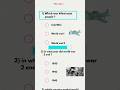 War Quiz #quiz #quiztime #quizchallenge #education #shorts #video #viral