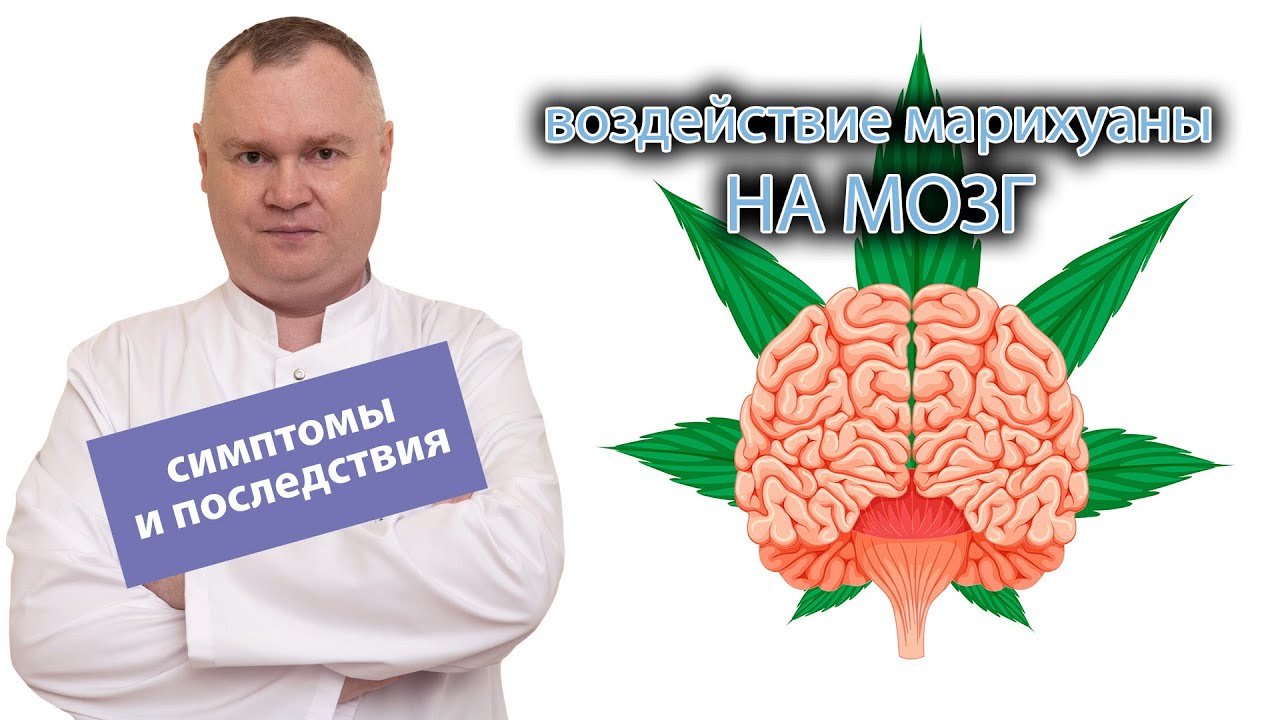 🧠Воздействие марихуаны на мозг — симптомы и последствия👨⚕️