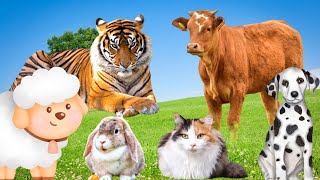 Cuddly Animal Voices – Goat, Duck, Sheep, Turkey, Rabbit, Turtle Sounds Compilation screenshot 1