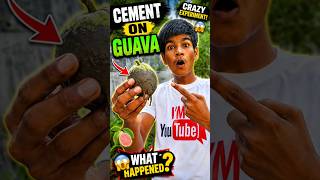 😱 I Put Cement on a Guava! | #shorts #GuavaExperiment #CementChallenge #CrazyExperiment #ytshorts