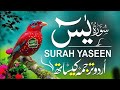 Surah yaseen with Urdu translation | Urdu Tarjuma k sath | سورۃ یسین اردو ترجمہ کے ساتھ