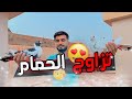 كيف تزاوج الحمام 
