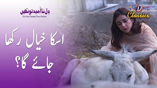 Is Ka Khayal Rakha Jaiga? | Dil Na Umeed Toh Nahi | TVONE #dilnaumeedtohnahi #yumnazaidi