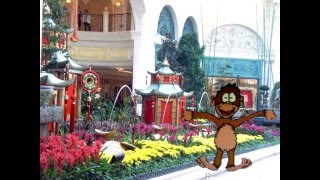 Happy Chinese New Year!  2016 Lunar Year Of Monkey