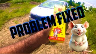 VEHICLE PROTECTION FROM RATS | BEST SPRAY  | VEHCILE PROBLEMS SOLVED |