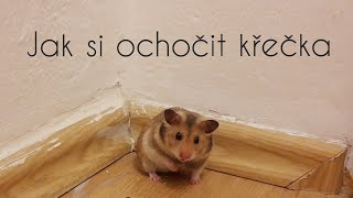 Jak si ochočit křečka