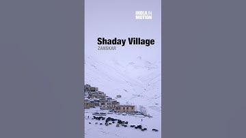 How Yaks help remote Himalayan Villages in Zanskar