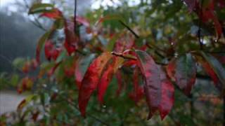 Download Lagu Summer is almost gone MP3