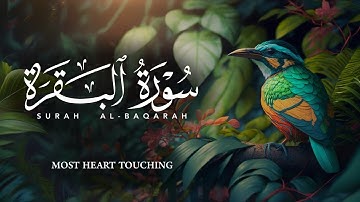ابراهيم الصعيدي - سورة البقرة كاملة - روووووووووعة - اسمع بقلبك ❤️
