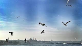 Gamsız Hayat Orijinal Dizi Müzikleri - Mayki Murat Başaran [Gurur]
