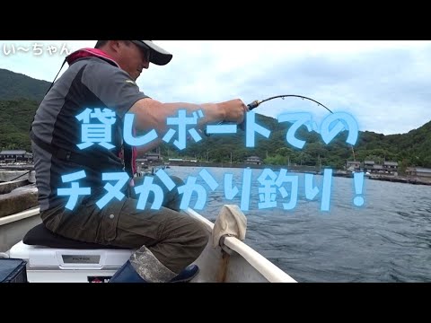 【かかり釣り】貸し切り状態のイケス周りでチヌ狙い！（前編）お手軽手漕ぎボートで黒鯛を釣る！福井県敦賀市 中村旅館