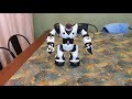 Wowwee robosapien original white dance demo