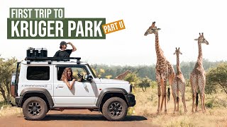 KRUGER NATIONAL PARK | Camping At Lower Sabie Rest Camp