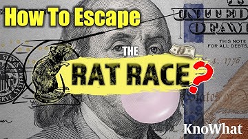 How to Escape the Rat Race | STEP BY STEP (Must Watch)