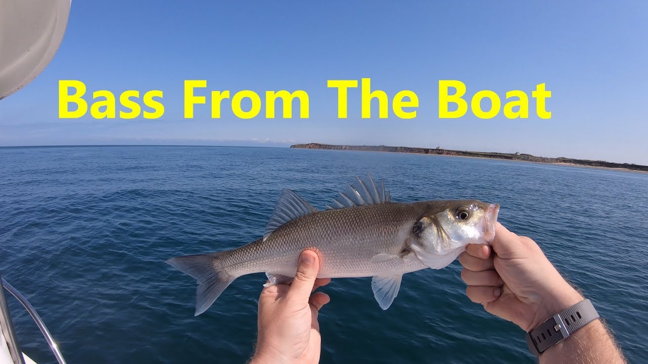 Beginners Guide: NO BAIT FISHING? Big Eye Mackerel or Matang Baka 