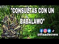 COSAS QUE HAY QUE SABER A LA HORA DE CONSULTARSE CON UN BABALAWO.