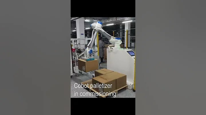 Collaborative robot palletizer for boxes