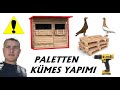 Paletten Kümes Yapımı How To Make Pigeon Cage At Home | Low Cost💰 | Easy Making at Home