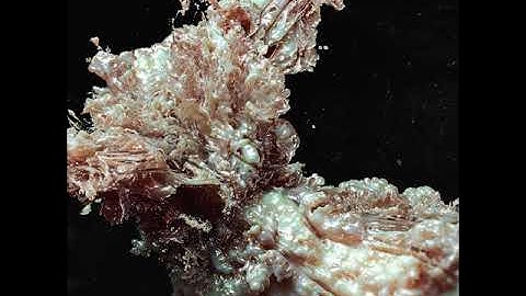 A2 | ISSXI.I | Tapefeed | Heulen