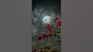 استغفر الله واتوب اليه # قران كريم # إشترك