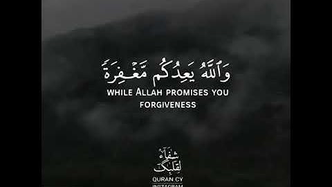قرآن كريم بصوت القارئ صالح الانصاري تلاوة هادئ و مؤثر ارح قلبك 💚🌿حالة واتس اسلامية /ستوريات انستغرام