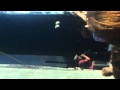 Tooji _If it wasn't for you_ Topp 20. Trondheim_ N.avi PART 2