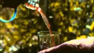 Vv Vopli Vidoplyasova Gorila Sosna.flv