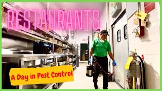 How to do Pest Control in Restaurants.