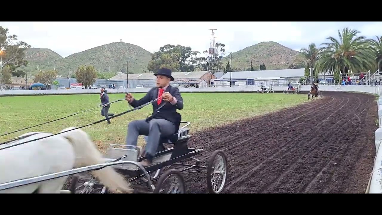 SOUTH AFRICA WELSH PONY CHAMPIONSHIP 2023