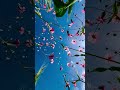 أنا ودي أشوفك اكسبلور دويتو لايك ورك تصميم فيديوهات الظروف سوريا 