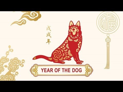 PREVIZIUNI ZODIAC CHINEZESC 2018 CU GEORGIA DEACONU - YouTube