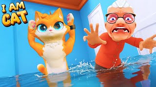 Can I FLOOD Grandma's HOUSE with WATER? (I Am Cat VR) screenshot 3