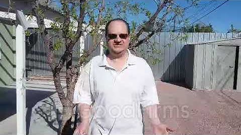 Video Review for J2TMedia Web Solutions (OPC) Pvt. LTd.