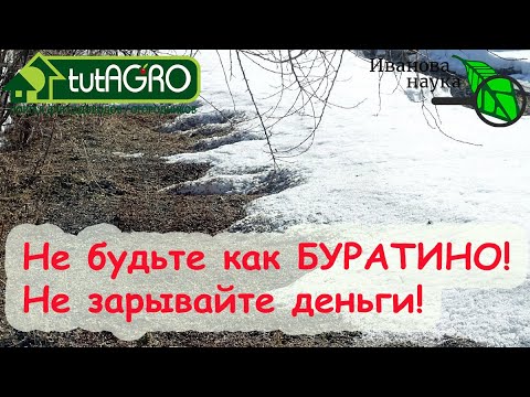 ШОК! ЗАЧЕМ ЛЮДИ ВЫБРАСЫВАЮТ ДЕНЬГИ И ВРЕДЯТ СЕБЕ??? Не кормите растения по снегу!