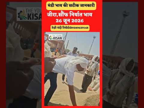 जीरा नई फसल और सौंफ का निर्यात भाव || jeera bhav kya hai || jeera kya bhav hai #cumin #news #spices