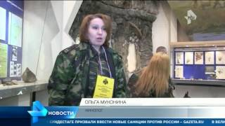 В России появились клонированные собаки В России появились клонированные собаки