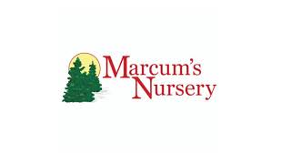 Marcum's nursery jingle (HQ) by Stanley Steemer 956 views 4 years ago 29 seconds