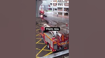 #37. The Unreliable Witness - Memory in the Courtroom #EyewitnessMemory #MotionSnap