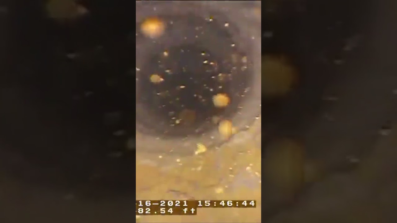 Video showing fractured water-bearing siltstone in a well 80-85 ft. bgs by geologist Chris Landau