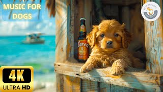 [Playlist] 4K - 8 Hours MUSIC FOR DOGS 🐶Stress Relief Music For Dogs ♬ Anti Anxiety Music for Dogs