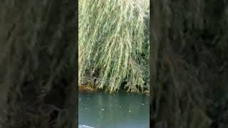 Secretos de Valdivia