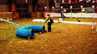Jay Agility Vorführung .AVI