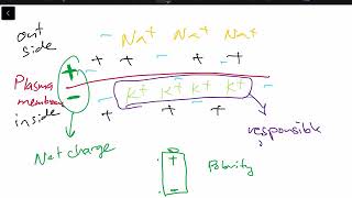 Chapter 3- Cells- Part 3