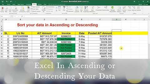 Excel-02 /  Data Sorting By Ascending or Descending Order In Bangla I #msexceltutorial